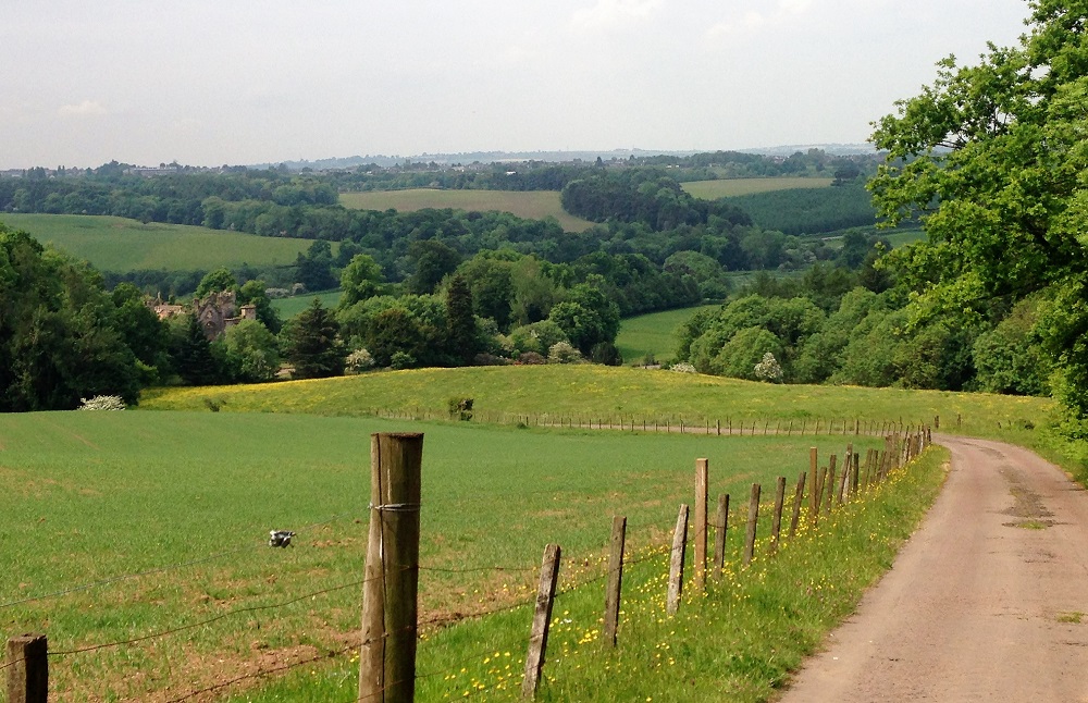 Looking down at Cambusnethan with former policy parkland on either side of the North Drive